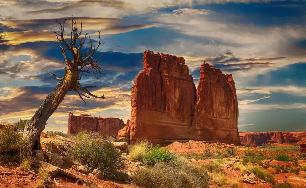 best national parks tours