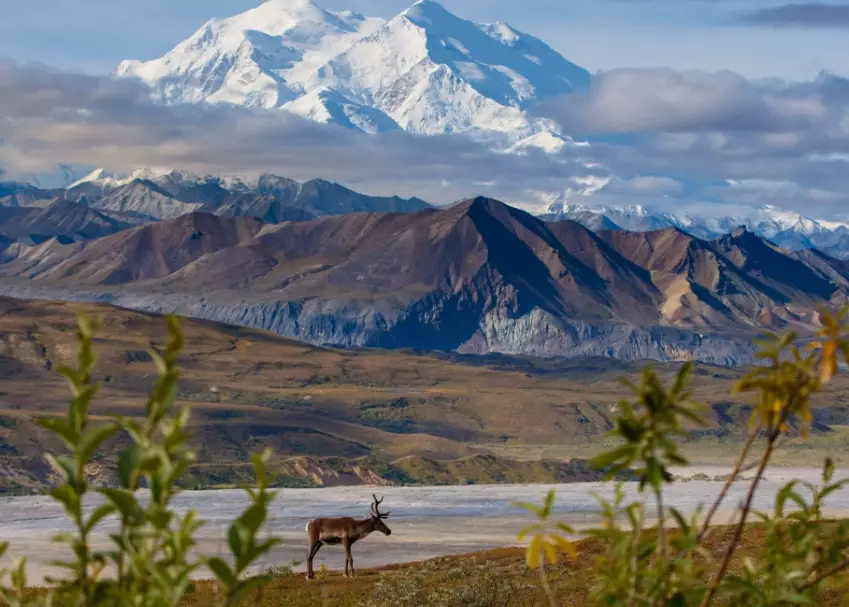 national park guided tours