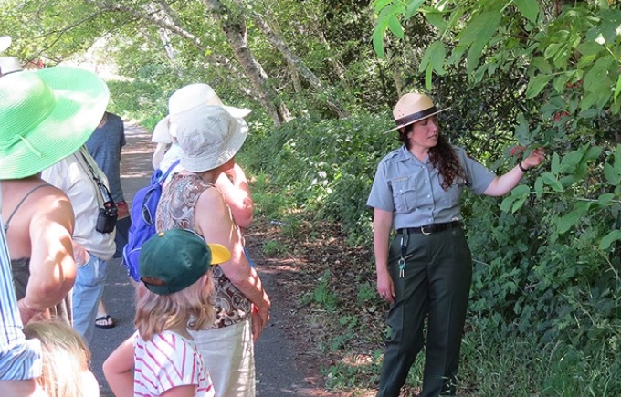 Adult Ranger Programs