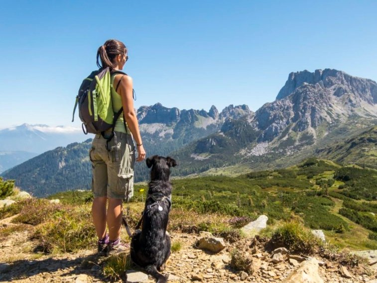 hiking with dogs