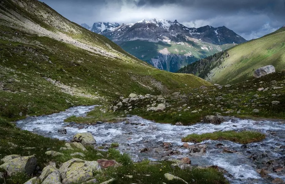 mountain biodiversity