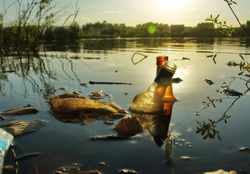 environmental impact assessment