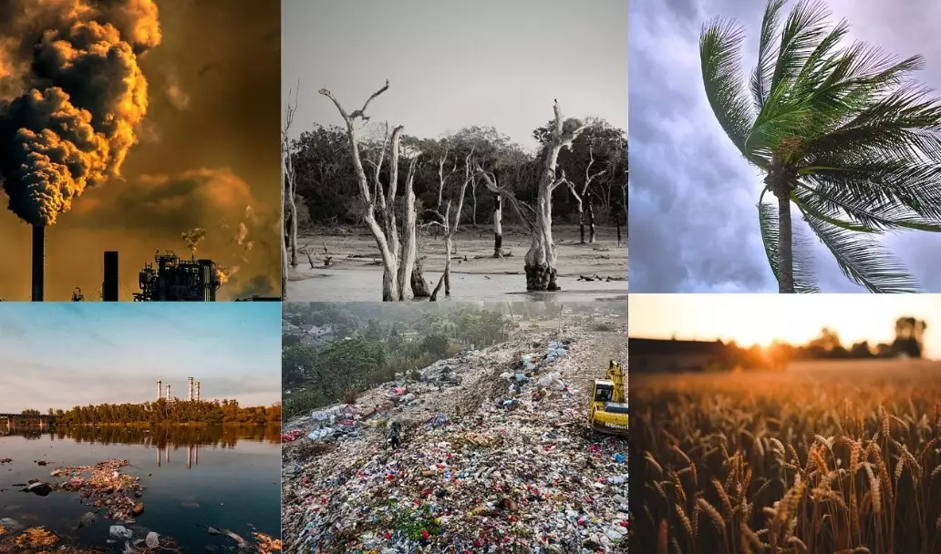 environmental impact assessment