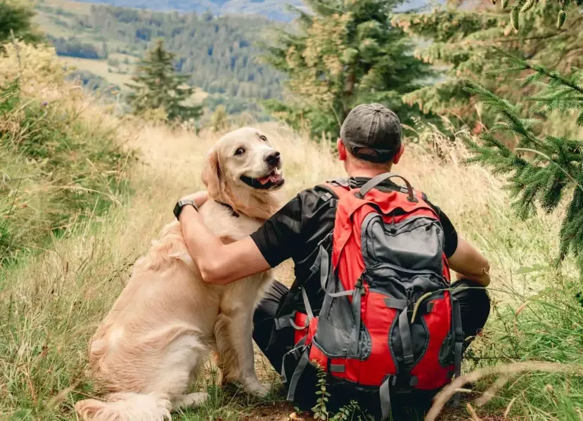 dog hiking gear