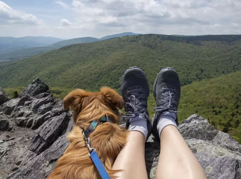 dog friendly hiking trails
