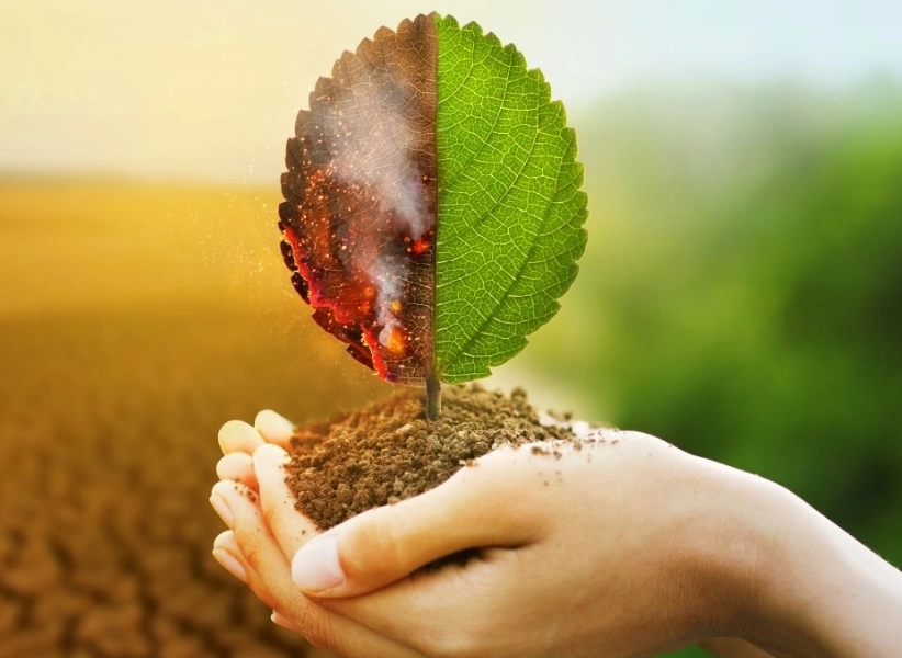 environmental impact assessment