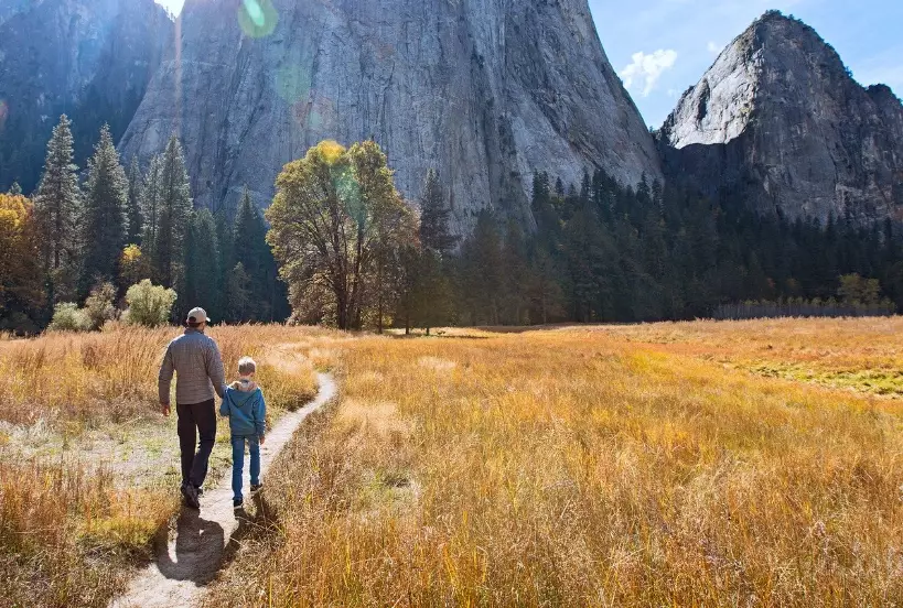 family trips to national parks