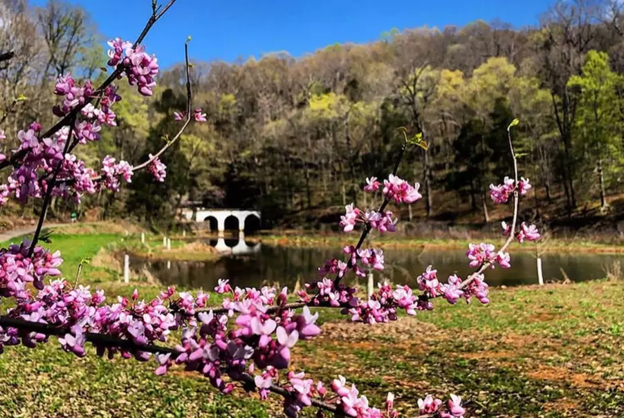 spring hiking trails