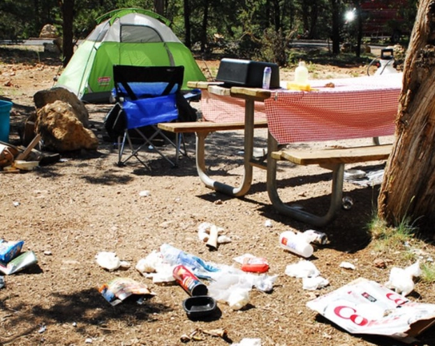 how to leave no trace hiking