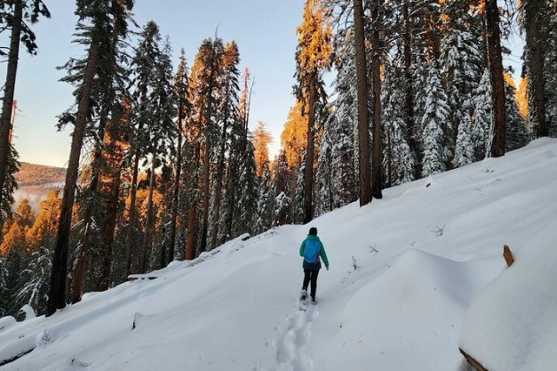 snowshoe trails near me