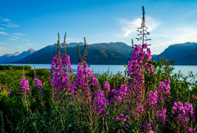 spring in national parks spring in national parks