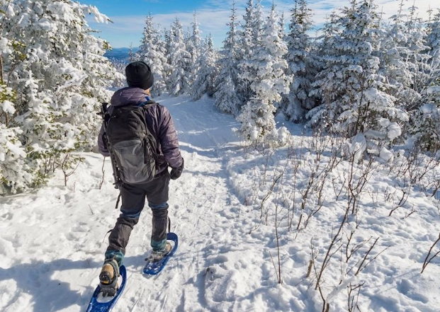national parks snowshoeing