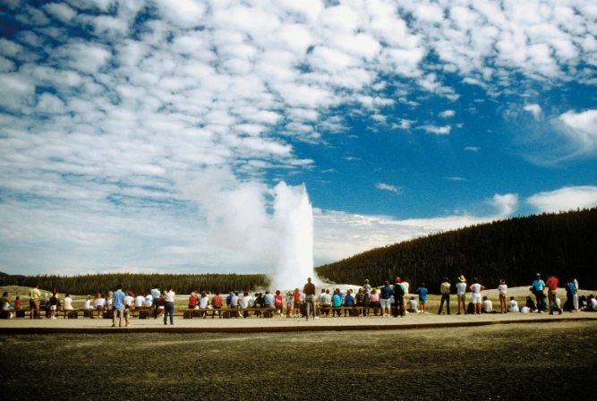 Yellowstone geyser predictions