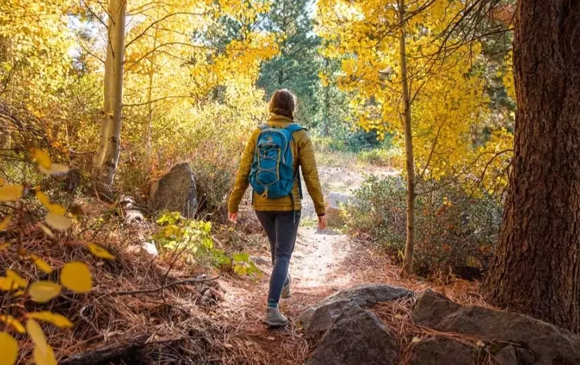 fall foliage hiking tips