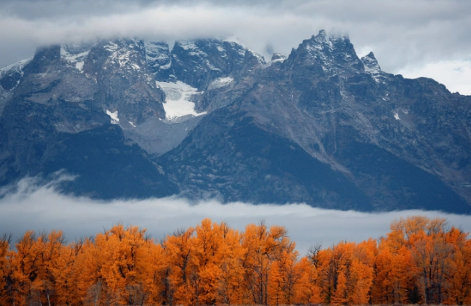 fall foliage park guide fall foliage park guide