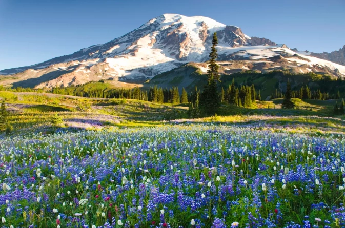 spring national park trips spring national park trips