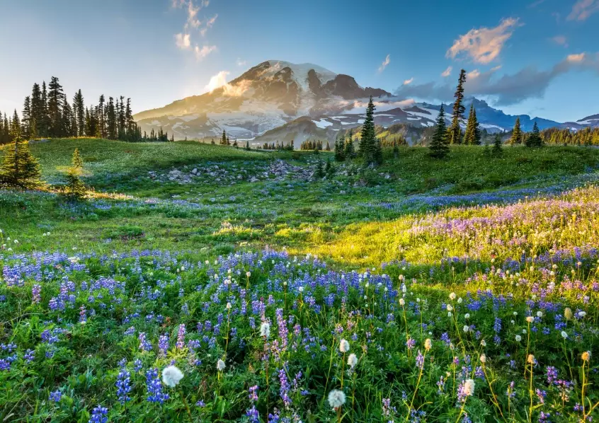 best national parks in the US