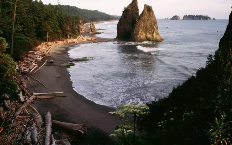 visiting Olympic National Park