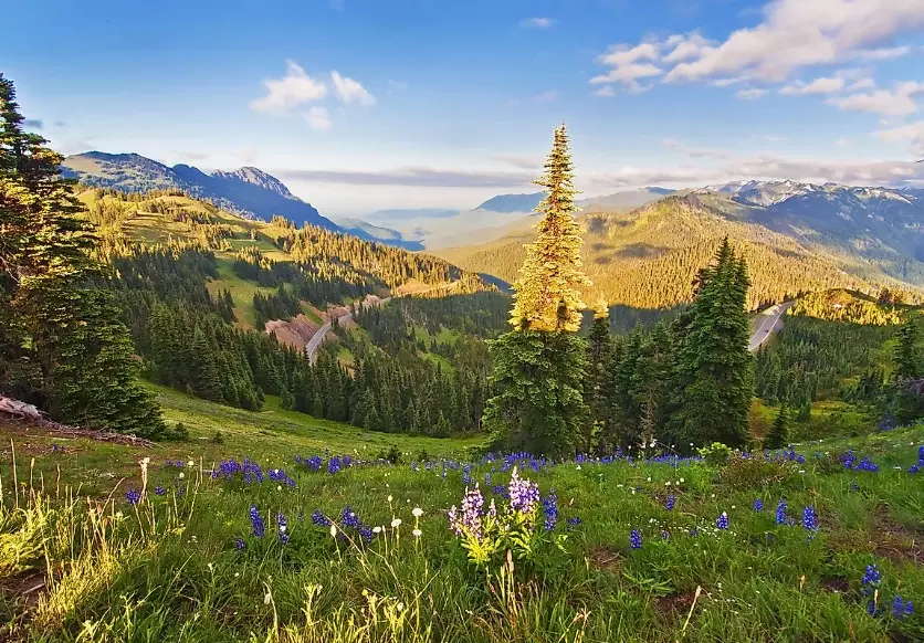 Olympic National Park hiking