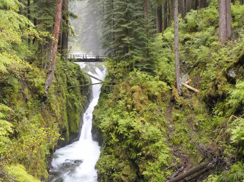 Olympic National Park weather