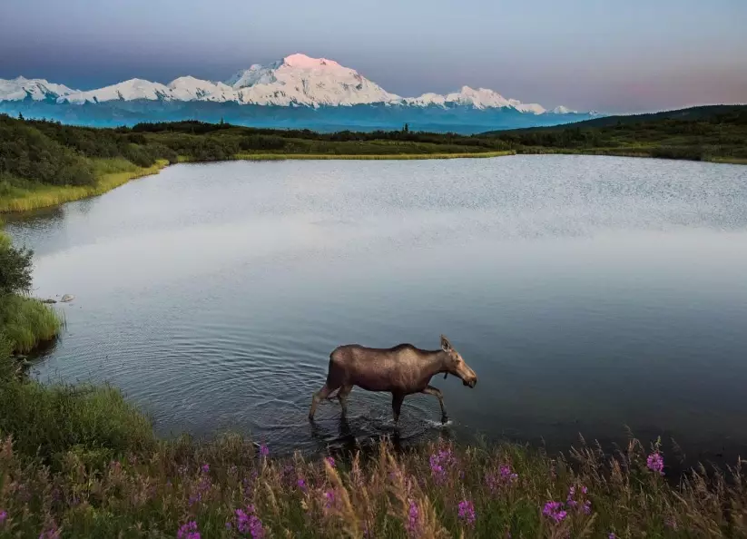 best national parks for wildlife watching