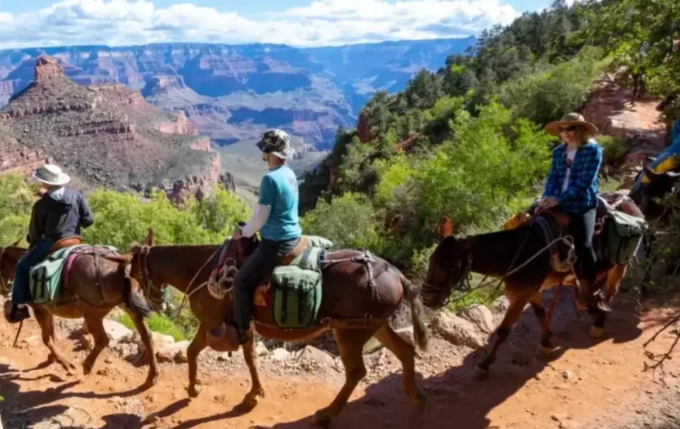 Grand Canyon South Rim Grand Canyon South Rim