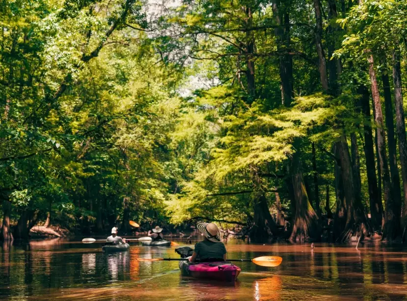 top 10 national parks USA top 10 national parks USA