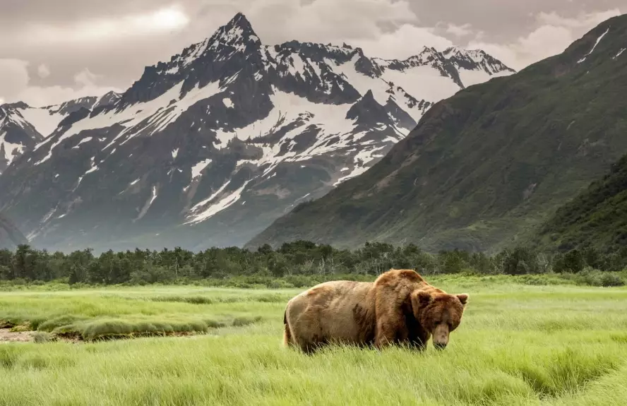 Denali National Park