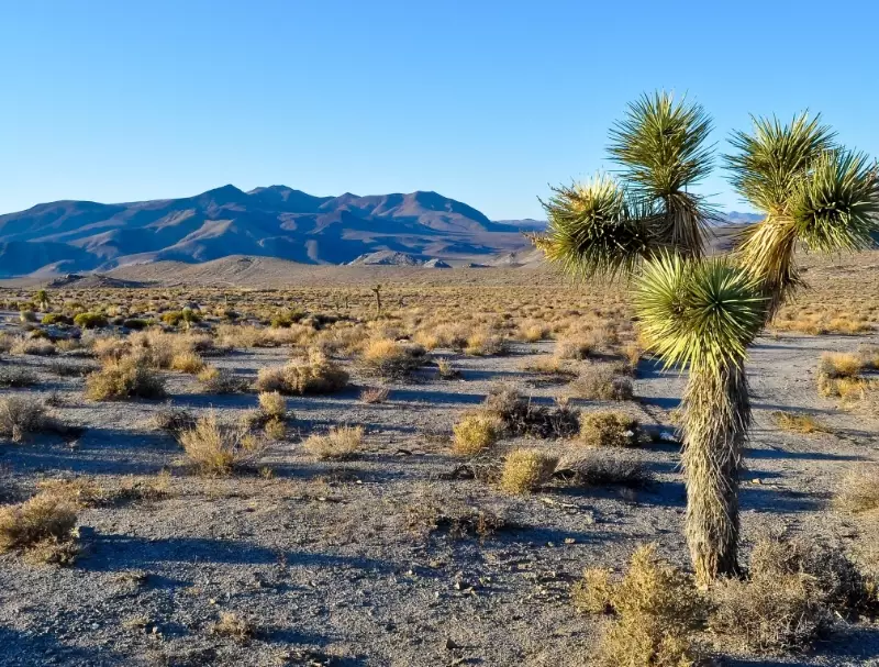best desert national parks best desert national parks