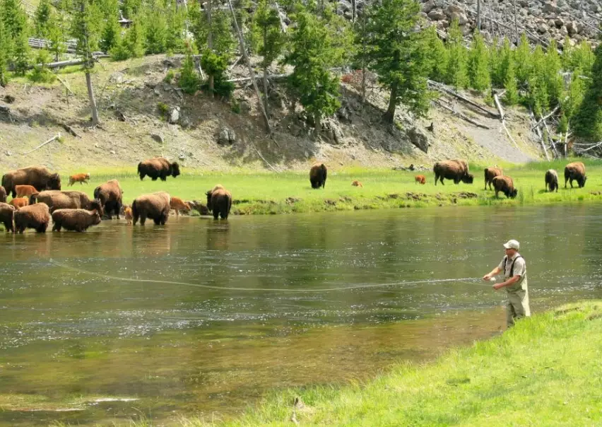best national parks for fishing
