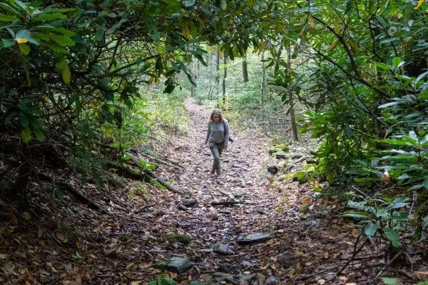 how to dispose of waste in wilderness how to dispose of waste in wilderness