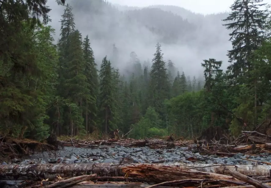 leave no trace principles leave no trace principles