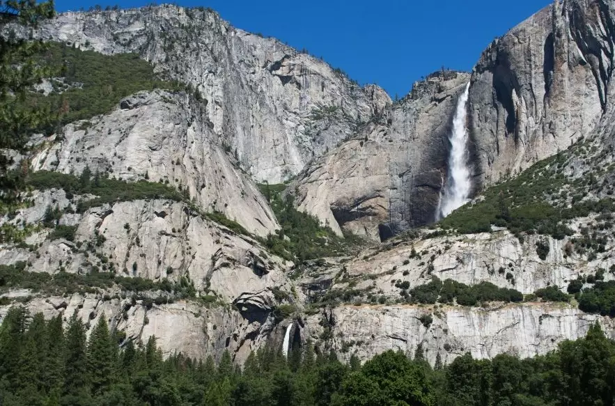 wildlife safety tips