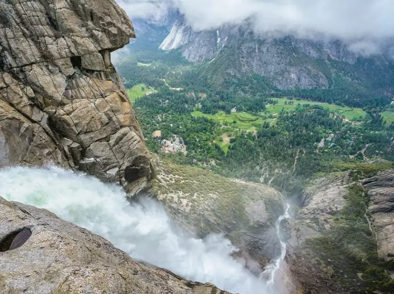 wildlife safety tips