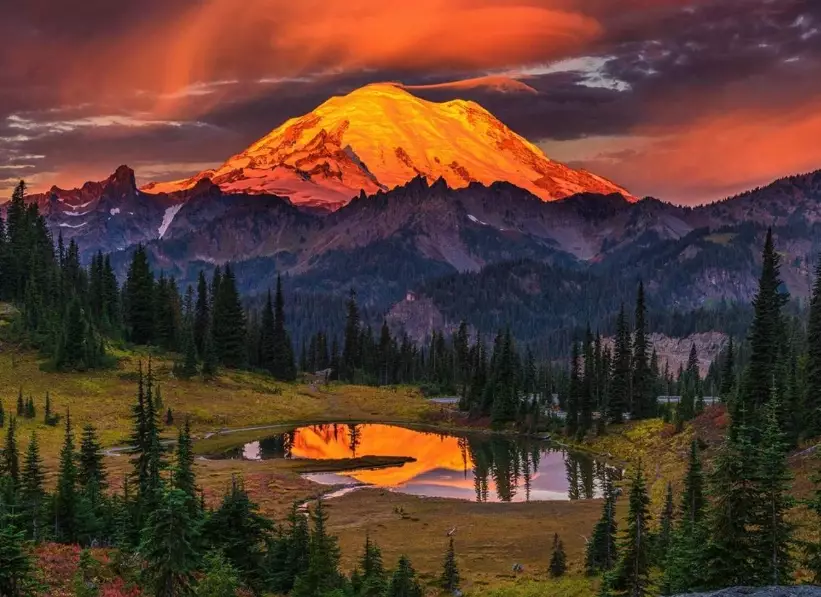 best time to visit Olympic National Park
