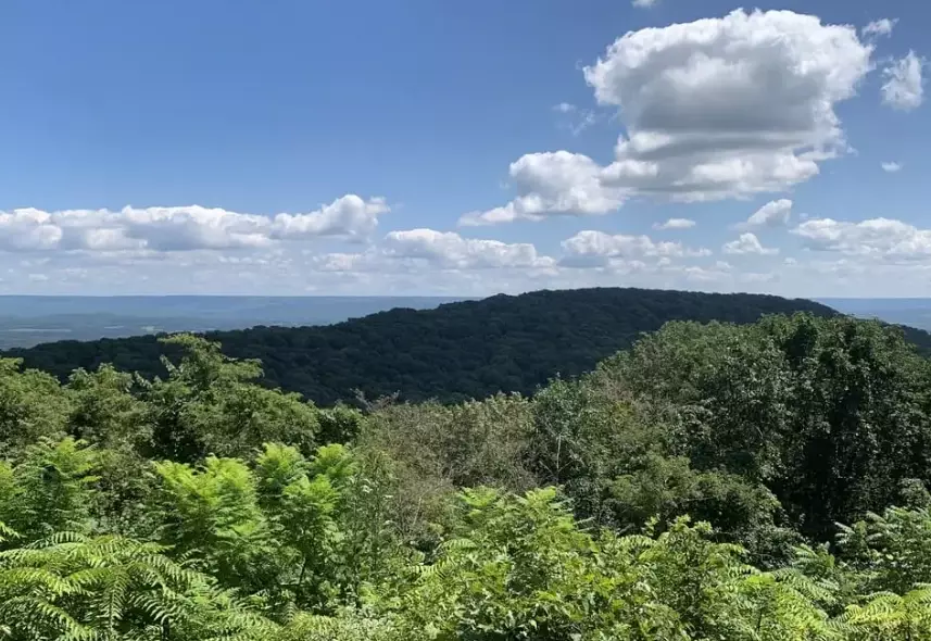 Alabama hiking trails