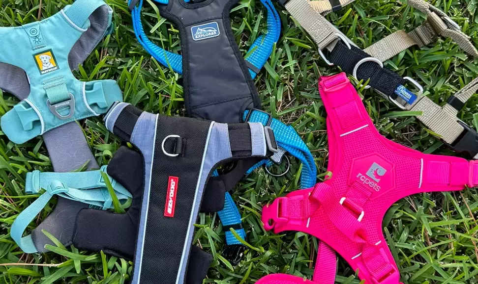 dog harness dog harness