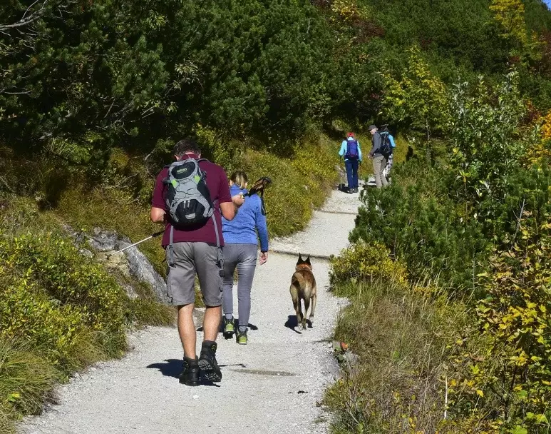 lose belly fat hiking lose belly fat hiking