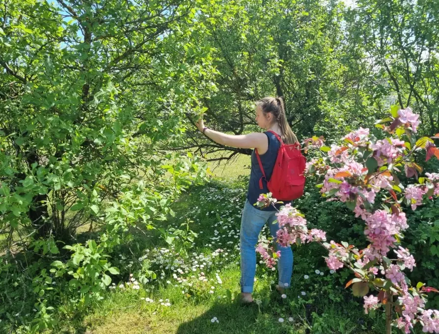hiking for beginners out of shape