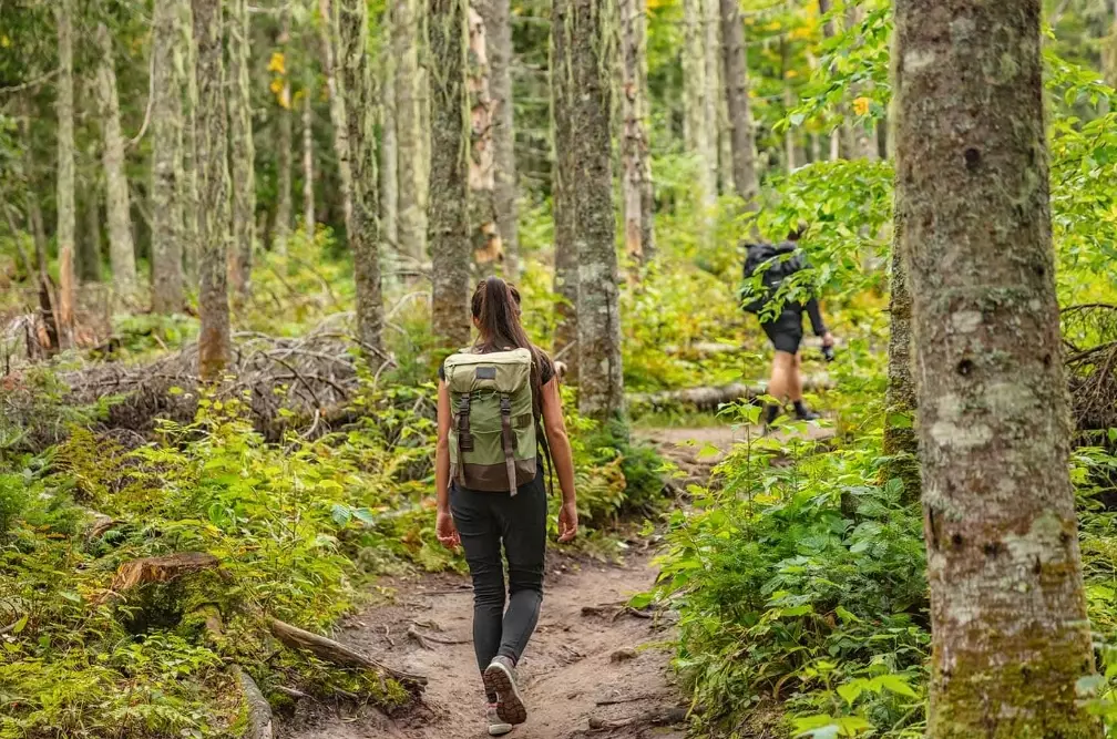 how to minimize impact while hiking how to minimize impact while hiking